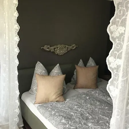 Seeschwalbe